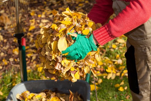Properly sized skip for home renovation