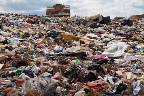 Choosing the right waste removal service